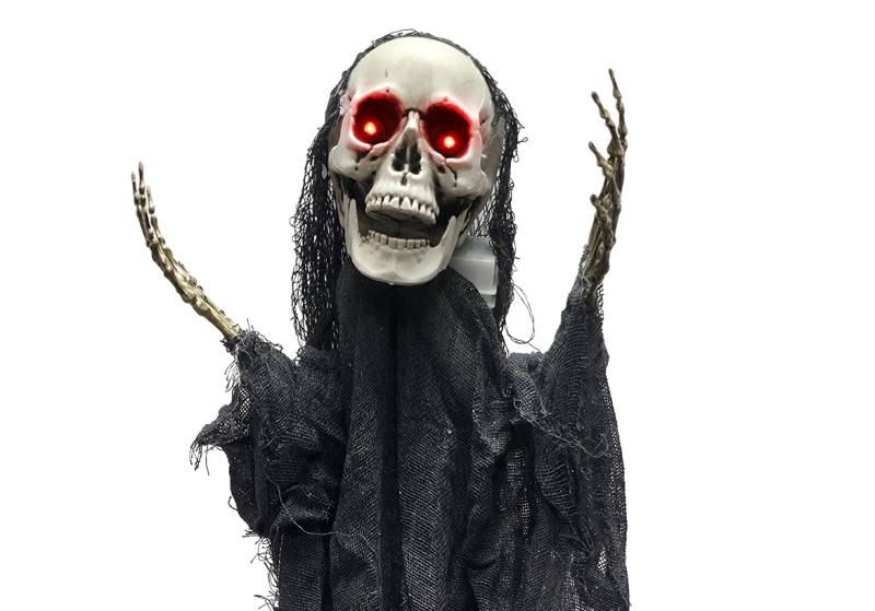 ESQUELETO SHAL NEGRO DECORACION